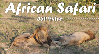 African safari 360 video