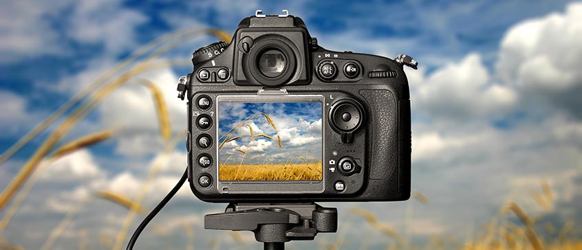 nature film making